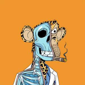 Meet your Posher, Cedric